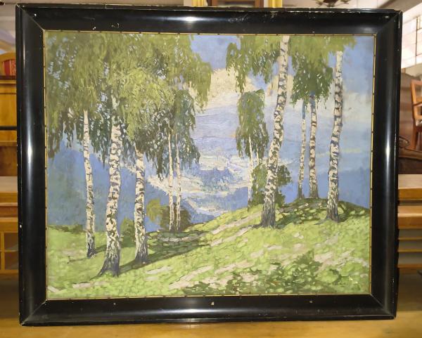 Stodola.cz - Břízy